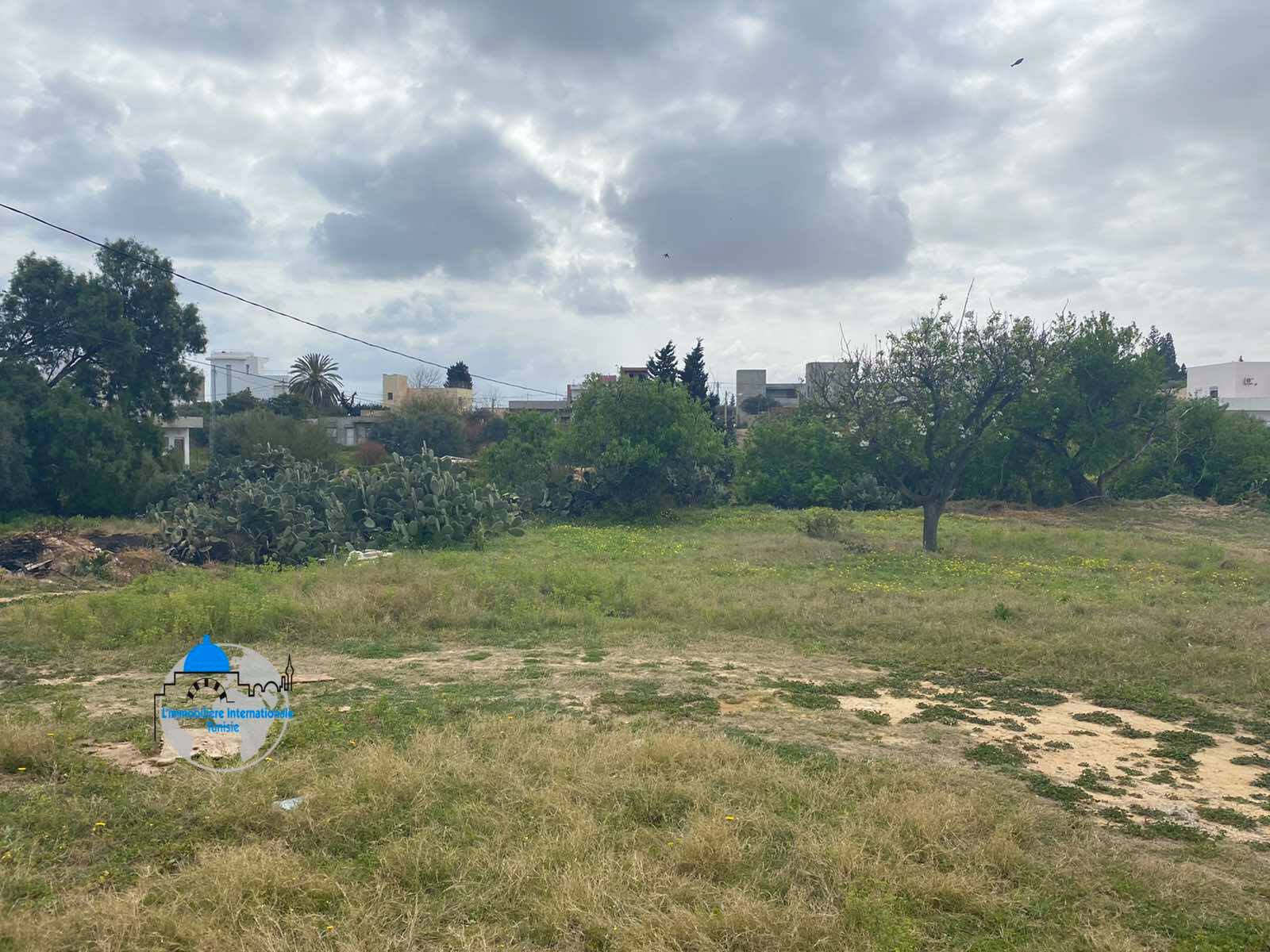 Exceptional Land for Sale in Sousse - A Prime Real Estate Investment Opportunity!