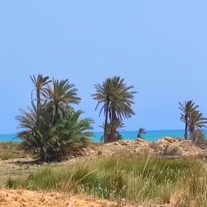 Terrain d’investissement titre bleu au bord de la mer