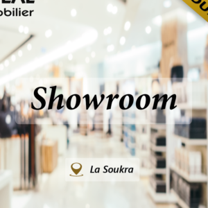 Showroom de 300 m² à la Soukra