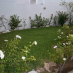 Photo-3 : Villa avec jardin à Hammamet