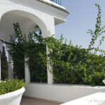 Photo-9 : Maison S3 avec piscine et jardin à Sidi Bou Saïd