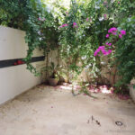 Photo-25 : Triplex S3 avec jardin à la Marsa