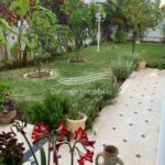 Photo-12 : Villa indépendante à Kantaoui Sousse