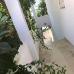 Photo-8 : Étage de villa S3 avec jardin à Carthage Dermeche