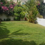 Photo-6 : Villa S3 avec jardin à Sidi Daoued, La Marsa