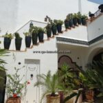 Photo-34 : Villa DES MERVEILLES