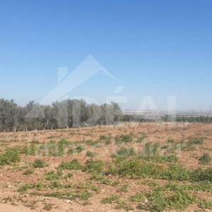 Ferme de 8 hectares à Borj El Amri