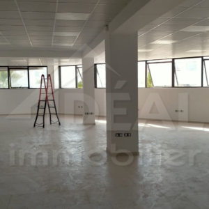 Open space de 300 m² aux Berges du Lac 2