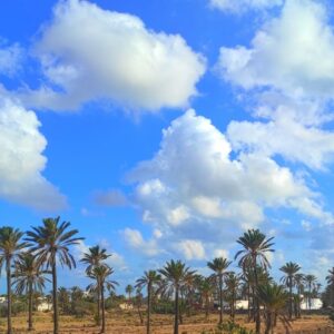 Terrain d’investissement en plein zone touristique Titre bleu