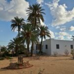 Photo-6 : Belle maison de campagne à Mezraya Djerba