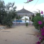 Photo-16 : Belle maison de campagne à Mezraya Djerba