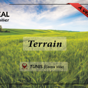 Terrain de 318m² au Centre-ville de Tunis
