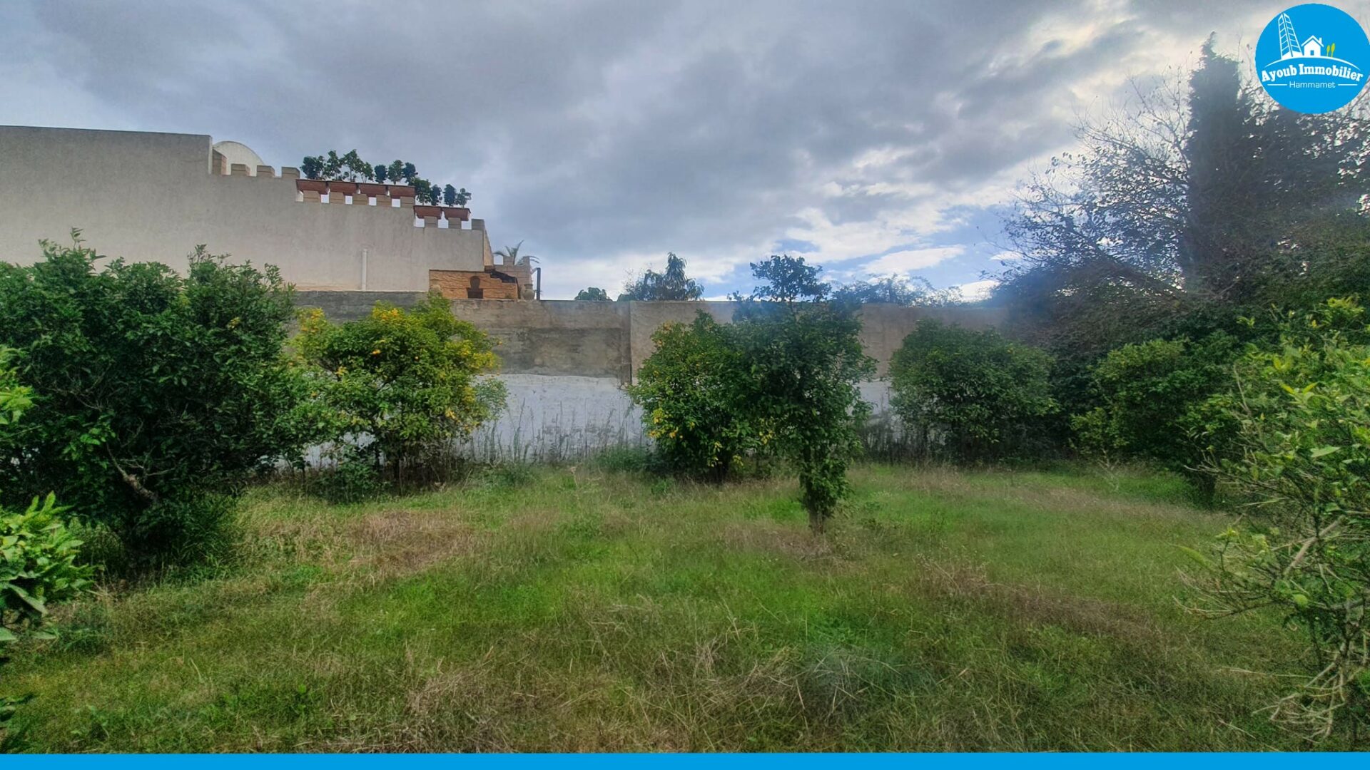 Exceptional Land Opportunity in Hammamet: Terrain Daly