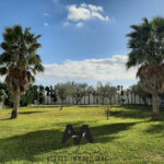 Villa de 2058m² avec jardin à Sidi mahersi, Nabeul