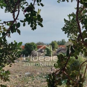 Terrain Baya à Hammamet Nord