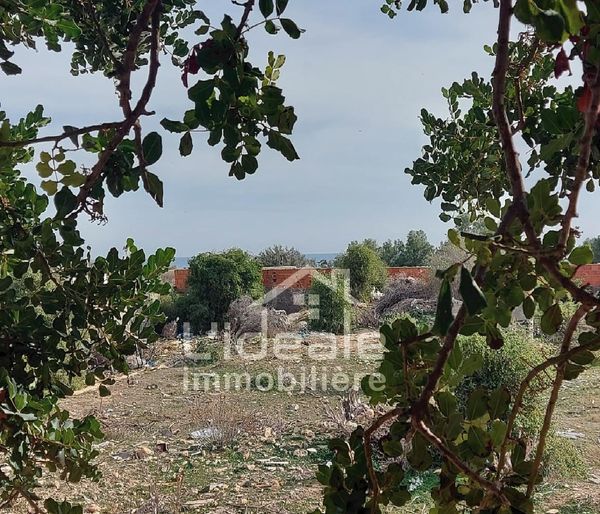 Exclusive Land for Sale in Hammamet Nord: A Prime Investment Opportunity