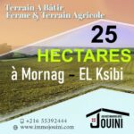 Photo-1 : Terrain Agricole de 25 Hectares à Mornag Ksibi