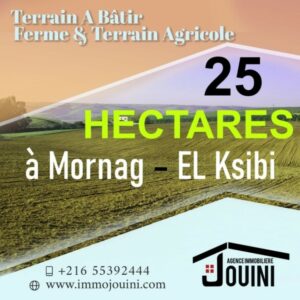 Terrain Agricole de 25 Hectares à Mornag Ksibi
