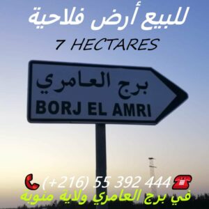 Terrain Agricole 7 Hectares à Borj Amri