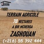 Photo-1 : Terrain 70 Hectares à Bir Mchergua Zaghouan