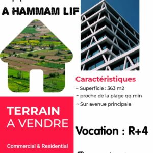 Terrain R+4 pour promoteur