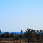Photo-17 : Villa vue sur mer à Tezdaine Midoun