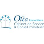 TERRAIN CONSTRUCTIBLE BORJ CEDRIA