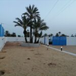 Photo-5 : Spacieuse Villa meublée à tézdaine – Djerba