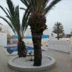 Photo-8 : Spacieuse Villa meublée à tézdaine – Djerba