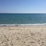 Photo-8 : Terrain de 594 m² Constructible Au bord de la mer et pieds dans l’eau à Raoued Plage au Cité des juges