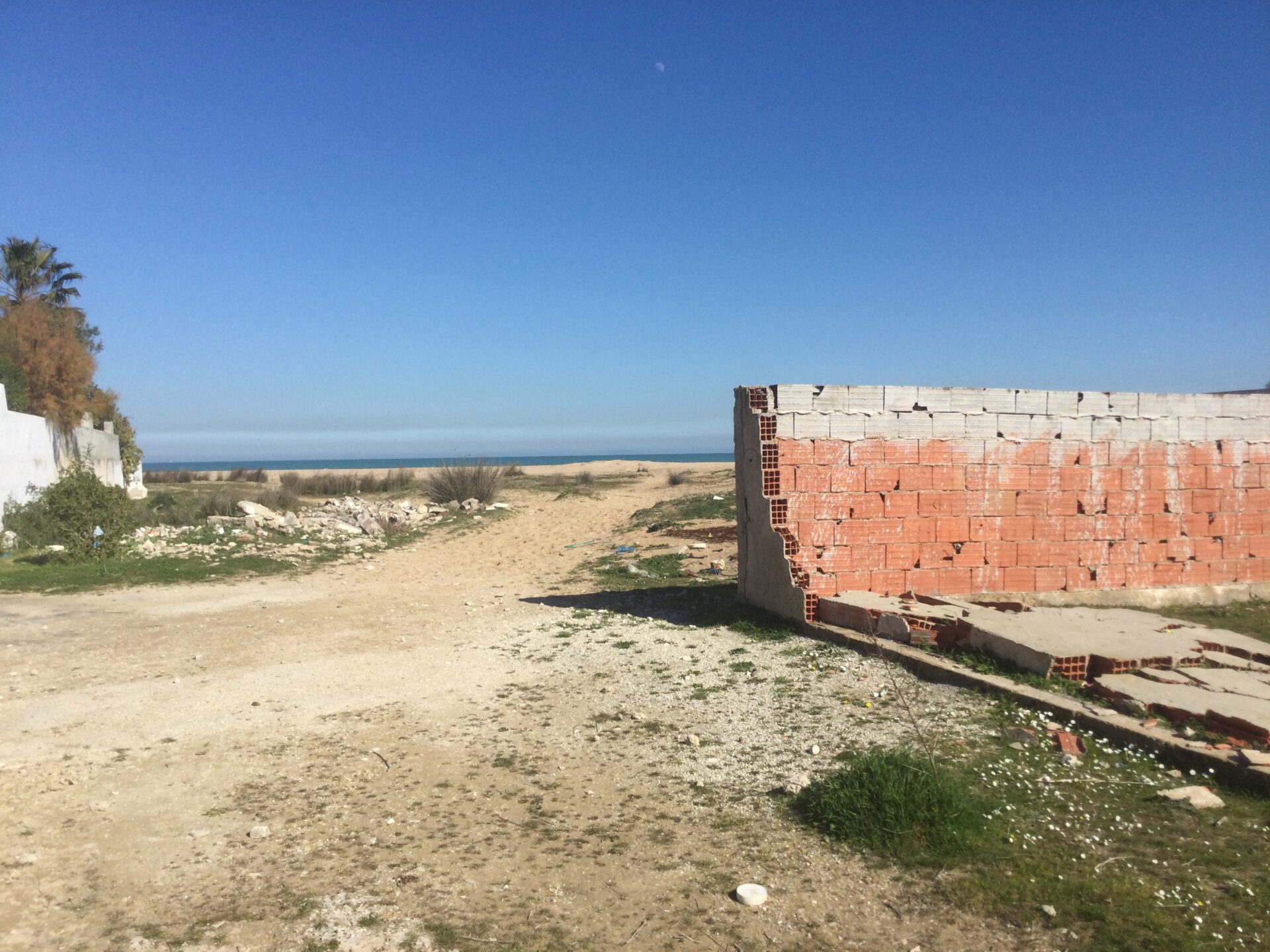 Terrain de 594 m² Constructible Au bord de la mer et pieds dans l'eau à Raoued Plage au Cité des juges