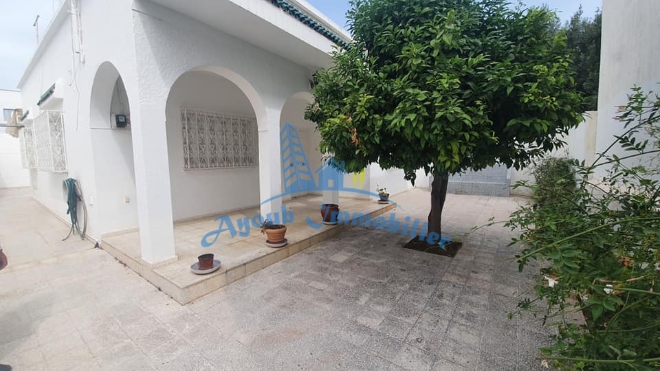 Maison Mounir: Your Ideal Haven in Hammamet