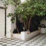 Photo-3 : Immeuble Invest à Sidi Daoued