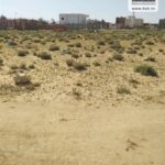Photo-2 : Terrain Boho à Sidi Bouzid