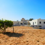 Photo-13 : Belle villa en pierre avec un grand terrain jardin et garage à Djerba