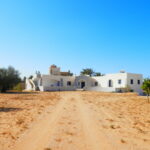 Photo-14 : Belle villa en pierre avec un grand terrain jardin et garage à Djerba