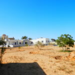 Photo-15 : Belle villa en pierre avec un grand terrain jardin et garage à Djerba