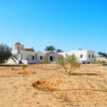 Photo-16 : Belle villa en pierre avec un grand terrain jardin et garage à Djerba