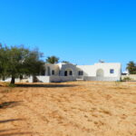 Photo-18 : Belle villa en pierre avec un grand terrain jardin et garage à Djerba