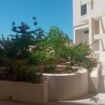 Photo-15 : Appart Ghrami aux Jardins de Carthage