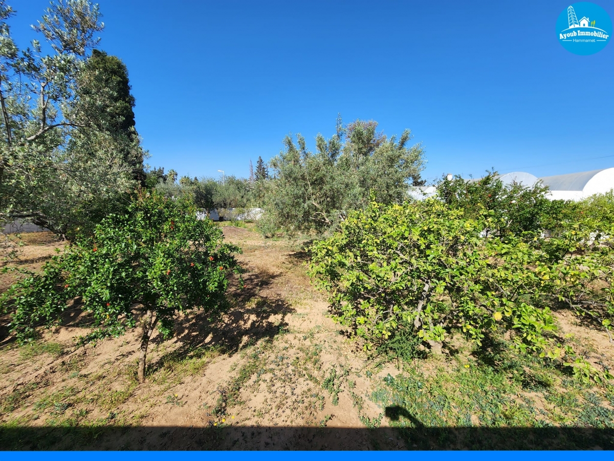 Unique Land Opportunity in Hammamet