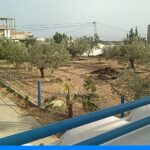 Photo-3 : Maison Romena