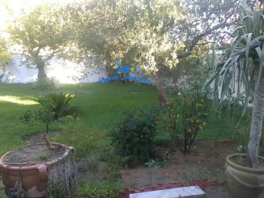 An Exceptional Living Environment