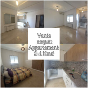 Coquet appartement S +1 haut standing à Yasminette