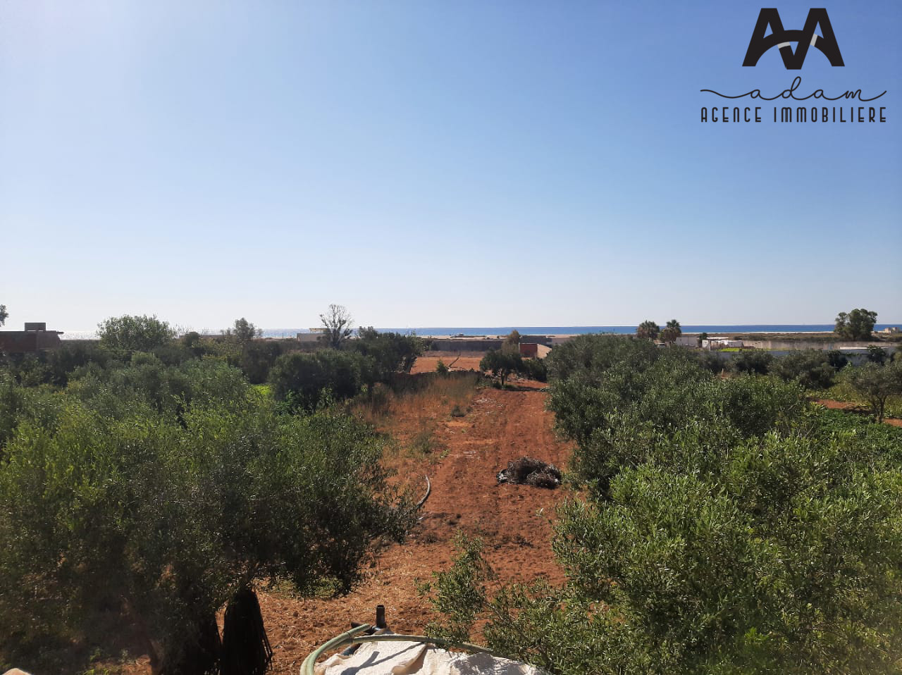 Terrain agricole de 5500m² à Daroufa, Nabeul
