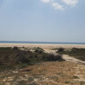 Terrain de 1300m² pied dans l’eau à Tazaka plage