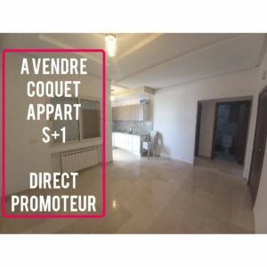 Coquet appartement S+1 à el yasminette medina jadida