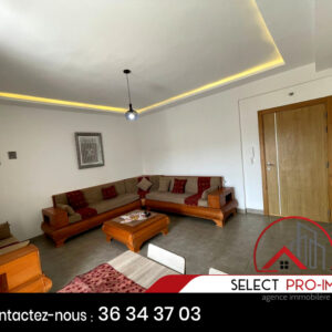 Appartement S+1 meublé à AFH Mrezga – 910a