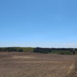 Photo-3 : Terrain Agricole Valy à Nabeul