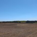 Photo-5 : Terrain Agricole Valy à Nabeul